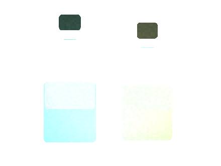 Air Bar Zen 5: Private Label Options for Distributors